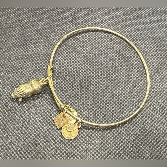 🦉ALEX AND ANI🦉Owl Charm Bangle in Shiny Gold/EUC - Picture 7 of 7